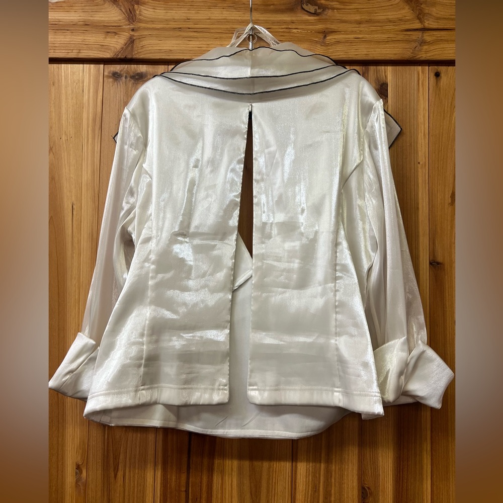 Cachet Vintage woman’s shimmer sheer long sleeve blouse - Picture 4 of 7